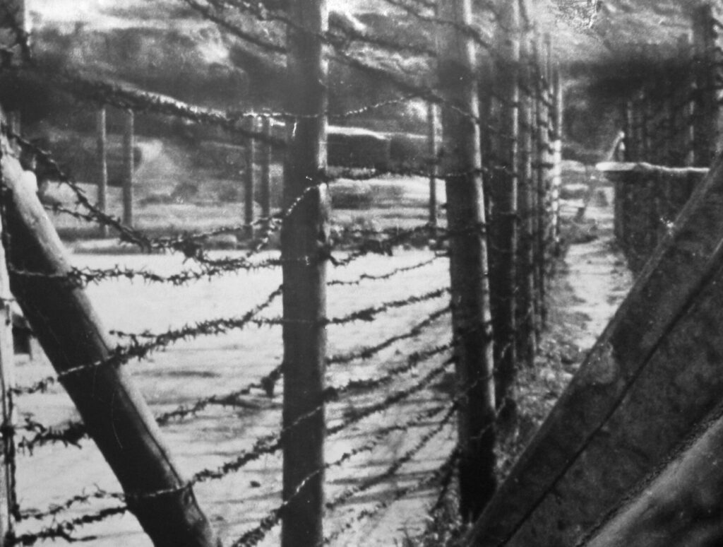 Matthaussen alambradas