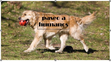 Monipodios del siglo XXI