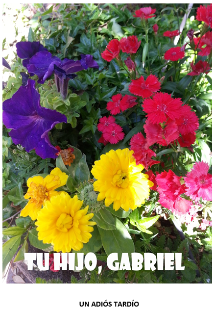 Un adiós tardío