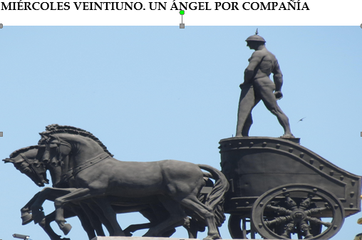 Un ángel por compañía